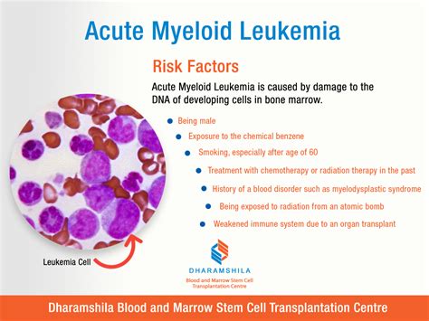 Acute Myeloid Leukemia Ppt - PPT - ACUTE MYELOID LEUKEMIA (AML ...