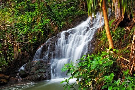 Hawaiian Waterfalls | Queen's Bath, Princeville, Kauai, Hawaii | Mickey ...