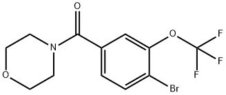 (4-Bromo-3-(trifluoromethoxy)phenyl)(morpholino)methanone | 1352621-30-7