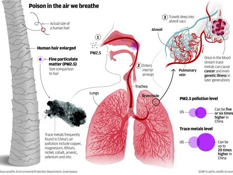 Particulate Matter 2.5 | AQI India