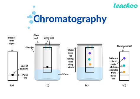 Types Of Chromatography Used In Bioprocessing - Design Talk