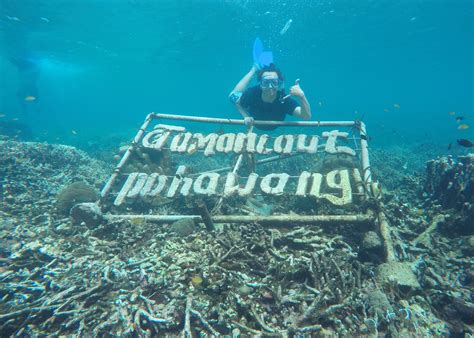 Adventure - Snorkeling Pulau Pahawang