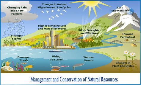 What do you mean by conservation and management of natural resources