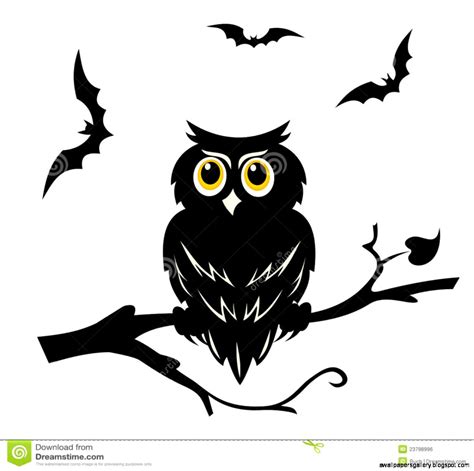 Owl On A Branch Silhouette | Wallpapers Gallery