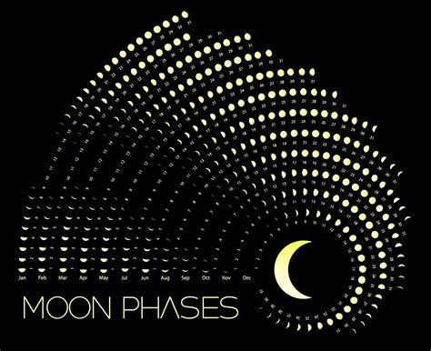 Moon Phases Calendar for the month of 2024