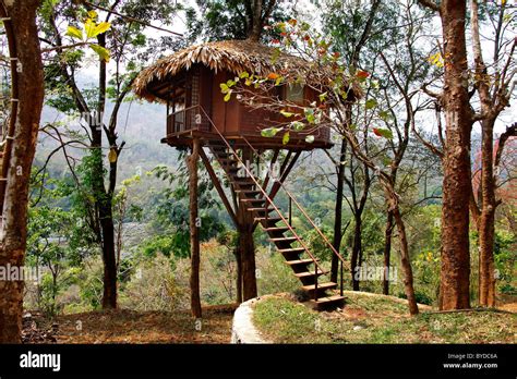 House In Rainforest High Resolution Stock Photography and Images - Alamy