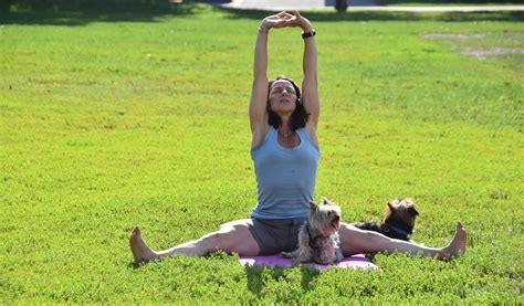 Our dog yoga and dog swim... - Dovercourt Recreation Centre