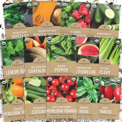 Buy Summer Vegetable Seeds Organic Variety Pack - 14 Seed Packets of ...