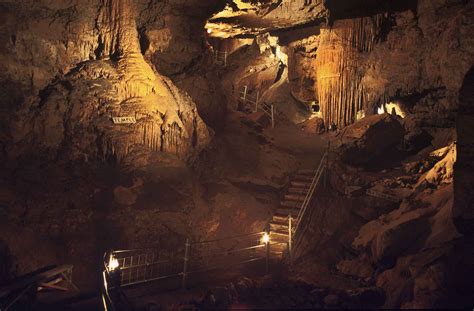 Ronceverte: Organ Cave | West virginia travel, West virginia, Virginia ...