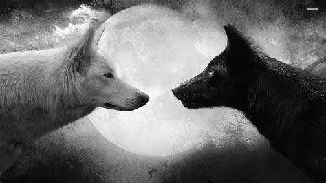 Black and White Wolf Wallpaper (73+ images)