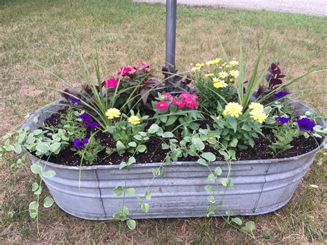 Galvanized Tubs for Gardening: A Creative and Affordable Solution