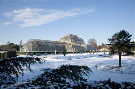 Kew Gardens London: When to go and what to see at the botanical gardens ...