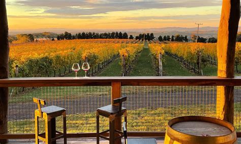 The Best Wineries and Cellar Doors in Orange, NSW to Visit