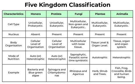 Biological Classification - Definition, Basis of Classification, FAQs