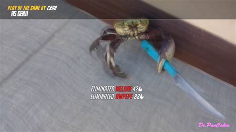 Are knife-wielding crab or memes of the sort a good way to diversify my ...