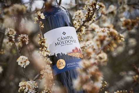 Moldovan Wine Label Design – Câmpia Moldovei on Behance