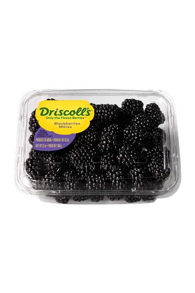 Driscoll Blackberries | Hy-Vee Aisles Online Grocery Shopping