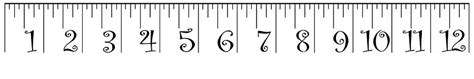 2 x 12 foot Ruler - NOTE print size may vary Photograph by Larry Jost ...