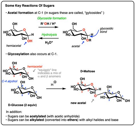 Key Reactions Of Sugars: Glycosylation and Protection