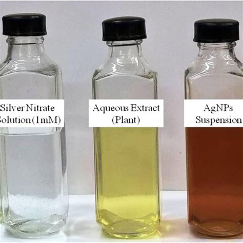 Effect of synthesized plant AgNPs on inhibition of CHIKV in Vero cells ...