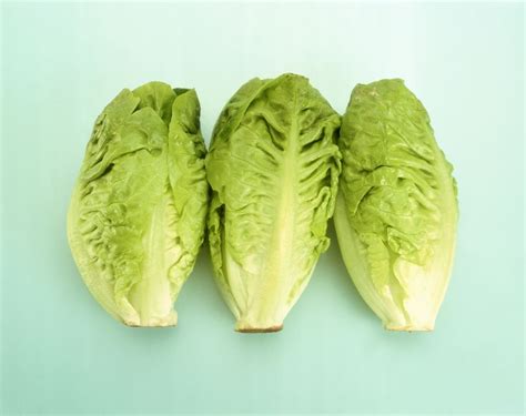 Lettuce Varieties - 16 Types of Lettuce