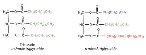 17.2: Fats and Oils - Chemistry LibreTexts