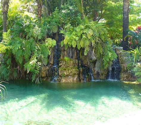 Tropical Waterfall, plants, rocks, tropical, water, waterfall, HD ...