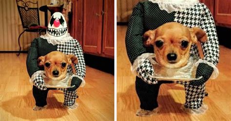 89 Terrifyingly Pawsome Halloween Costumes For Dogs | Bored Panda