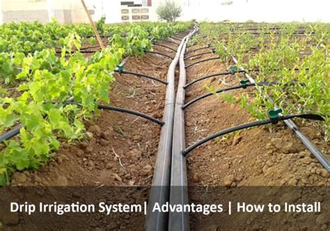 Garden Irrigation Systems Design - Image to u