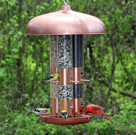 The Best Cardinal Bird Feeders and Birdseed - Birds and Blooms