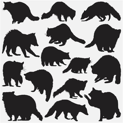 raccoon animal silhouette set 36752189 Vector Art at Vecteezy