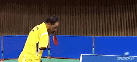 Table Tennis GIF - Find & Share on GIPHY