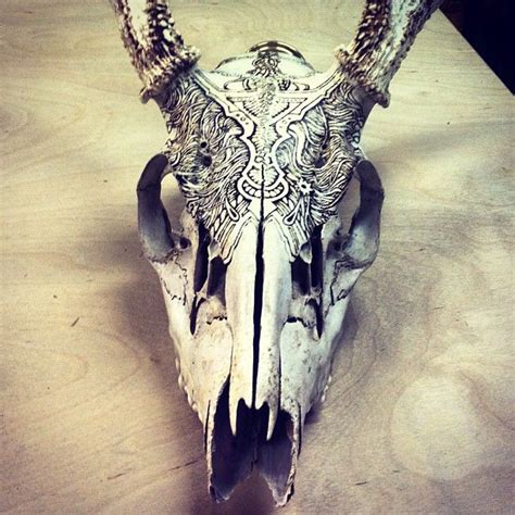 Found this deer skull, decorated it with my wood burner | Deer skull ...