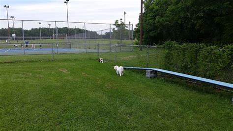 South Run Rec. Center Dog Park - 7550 Reservation Dr, Springfield, VA 22153