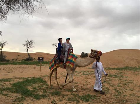 Evening Desert Safari in Ras Al Khaimah Dunes - VooTours Tourism