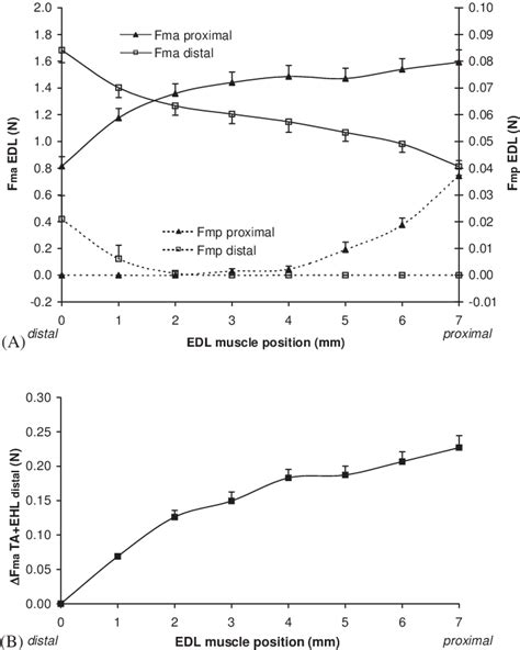 Isometric forces of EDL muscle and the TA+EHL complex, kept at constant ...