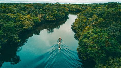 Stories From The Amazon: Exploring The Amazon River Basin In Peru ...