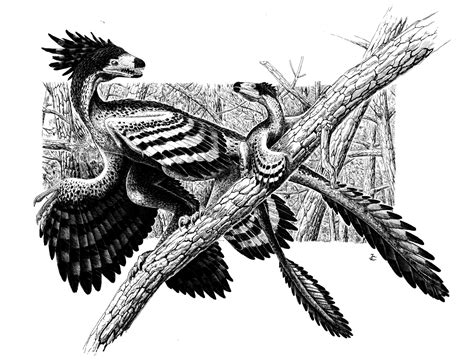 microraptor gui by Onikaizer on DeviantArt