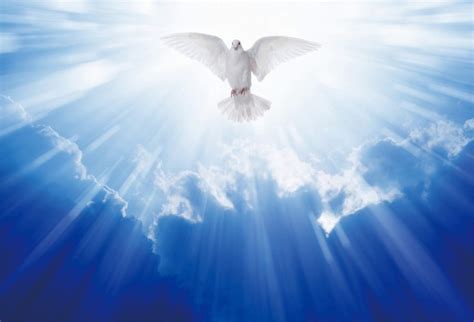 Jesus As A Dove