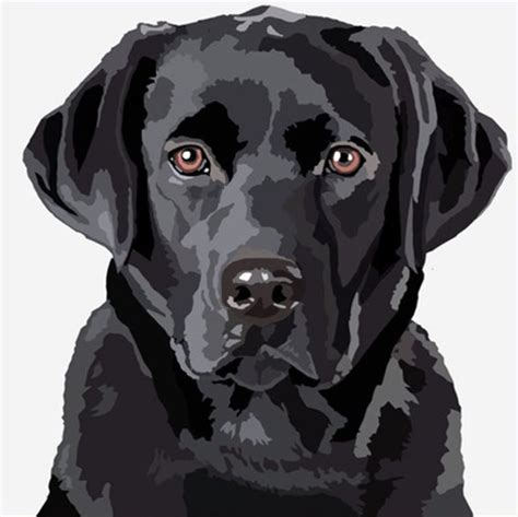 собака | Labrador art, Pet portraiture, Dog paintings