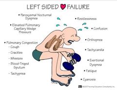 Chapter 26 Heart Failure and Circulatory Shock Flashcards | Quizlet