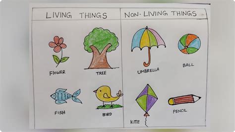 How to draw living things & non-living things drawing for kids ...