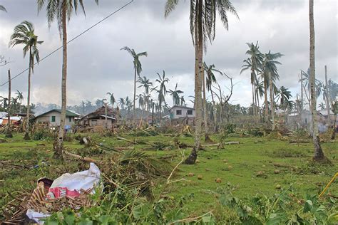 Agriculture damage due to Typhoon Odette hits P12.7B - BusinessWorld Online