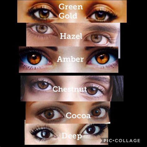 Shades of Brown Eye Color