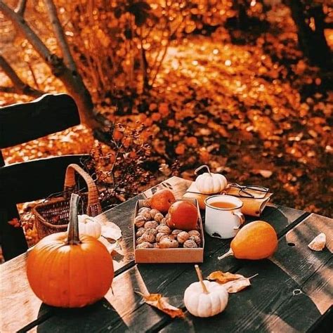 Pin by Zsu Sz. on My Favorite Time Of Year | Autumn aesthetic, Fall ...