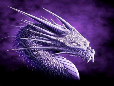 cool purple dragon wallpaper