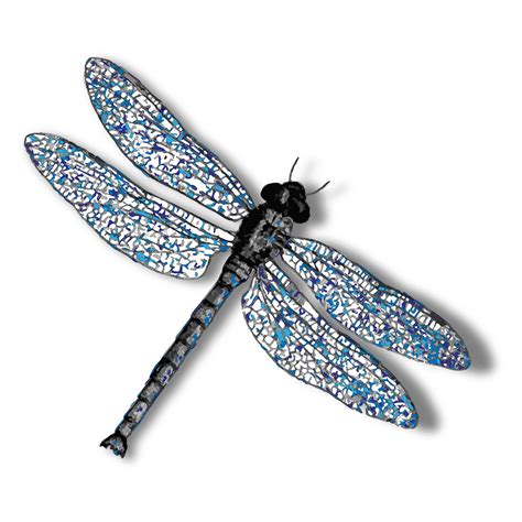 30 Transparent Background Dragonfly Png