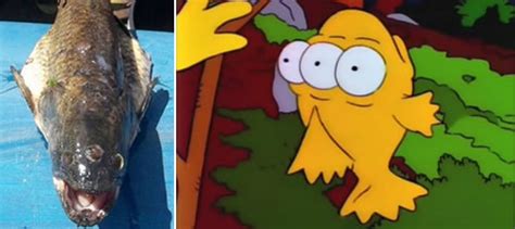 Real Life Imitates The Simpsons: Three-Eyed Fish Caught Near Nuclear ...