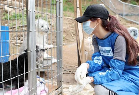 baytown animal shelter volunteer - Swingeing Vlog Photographs