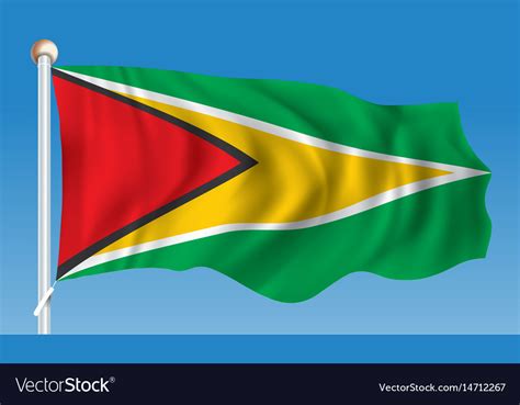 Flag of guyana Royalty Free Vector Image - VectorStock